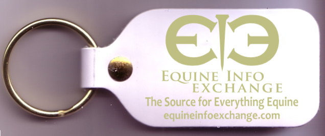 EIE Keychain