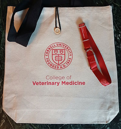 Cornell Tote Bag and Dog Collar