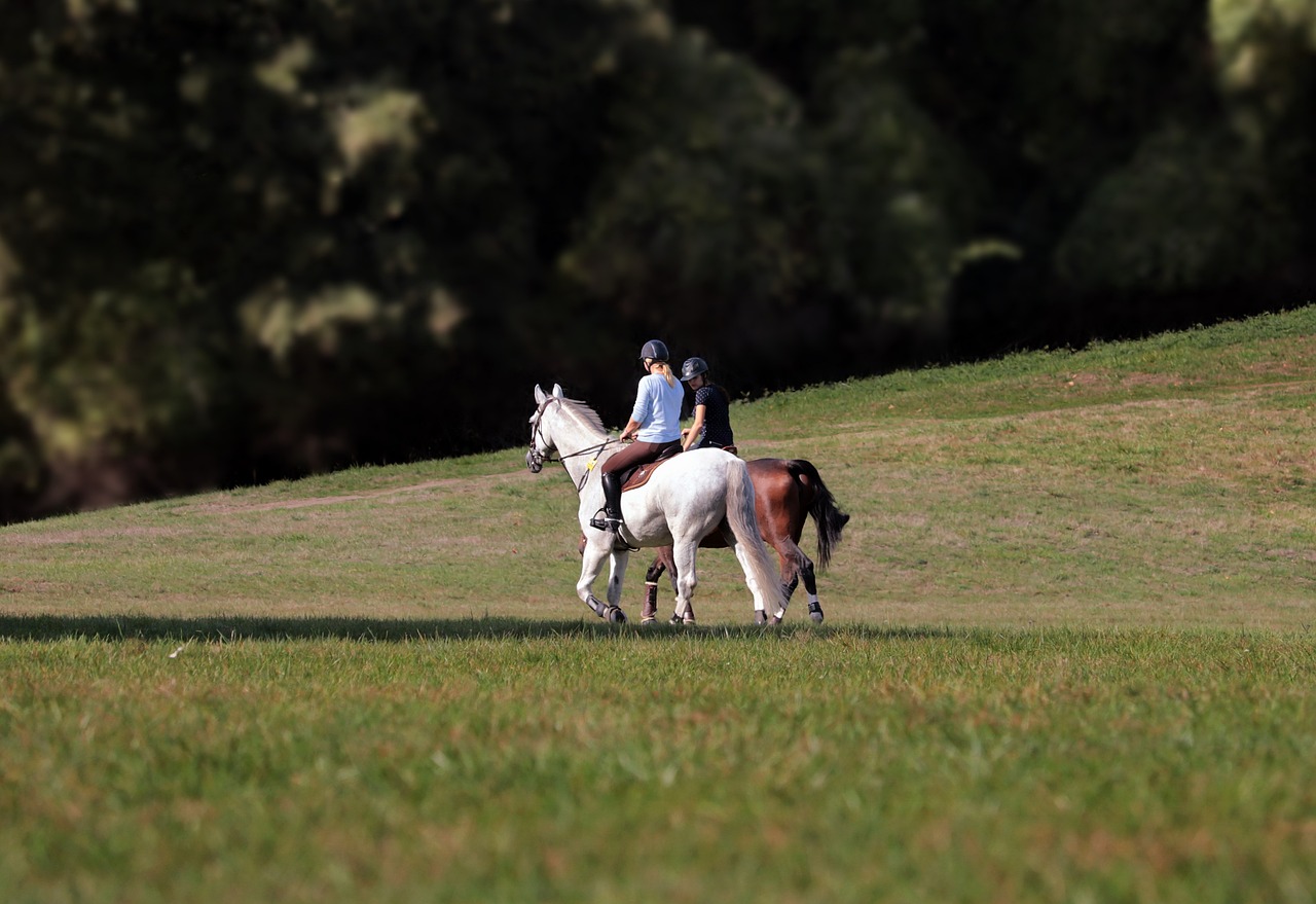 Equine Info Exchange - Trail Riding