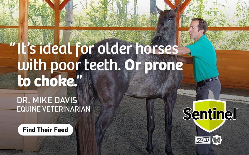 Sentinel Horse Feed