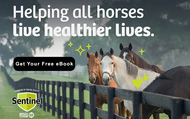Sentinel eBook - Helping all horses live healthier lives