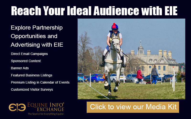 EIE Media Kit