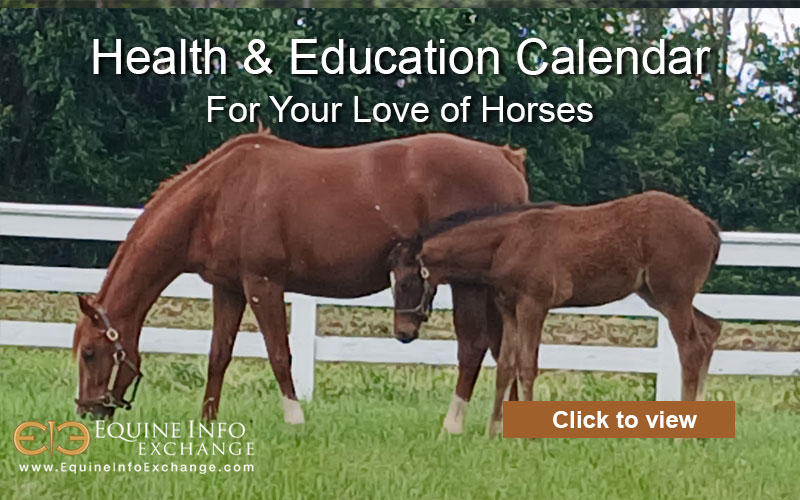 EIE Calendar of Health & Education Events