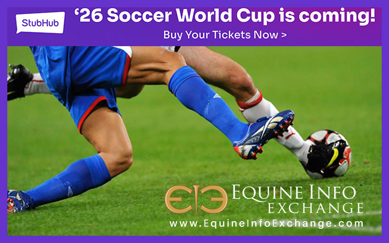 Stubhub - 2026 World Cup