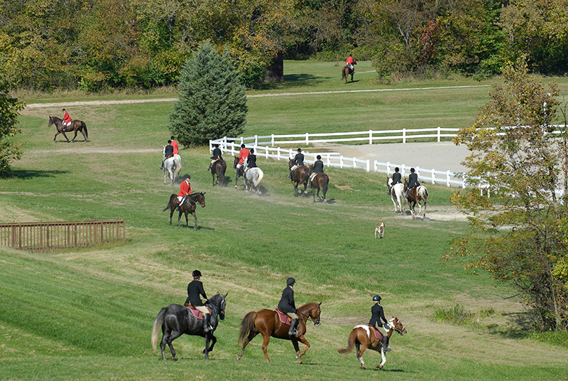 Foxhunting