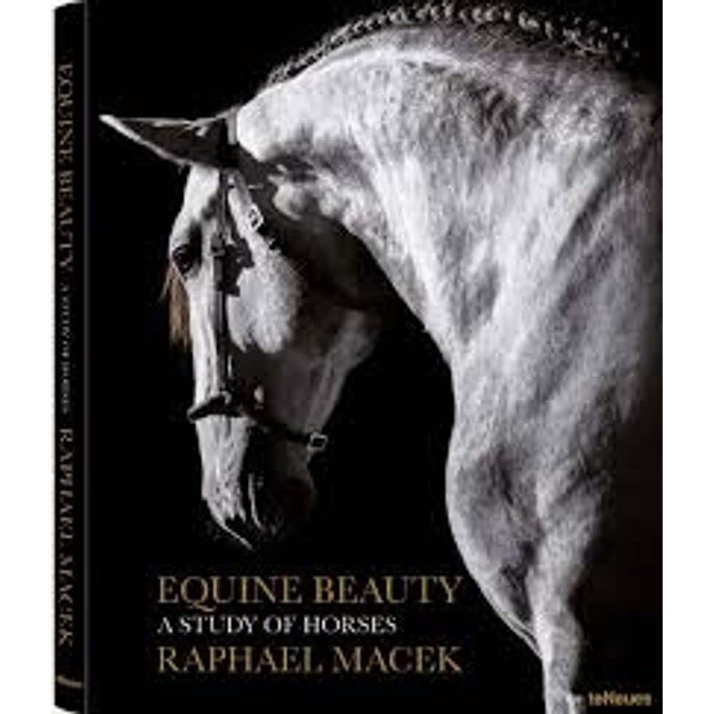 Equine Beauty( A Study of Horses)