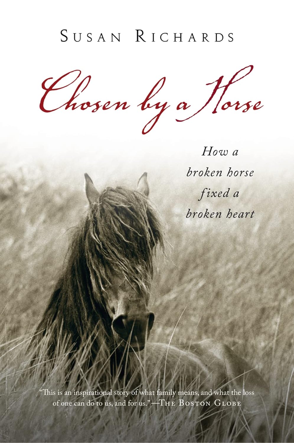 Chosen By A Horse: An Inspiring Memoir of Rescue, Hope, and the Healing Power of Love
