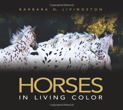 Horses: In Living Color