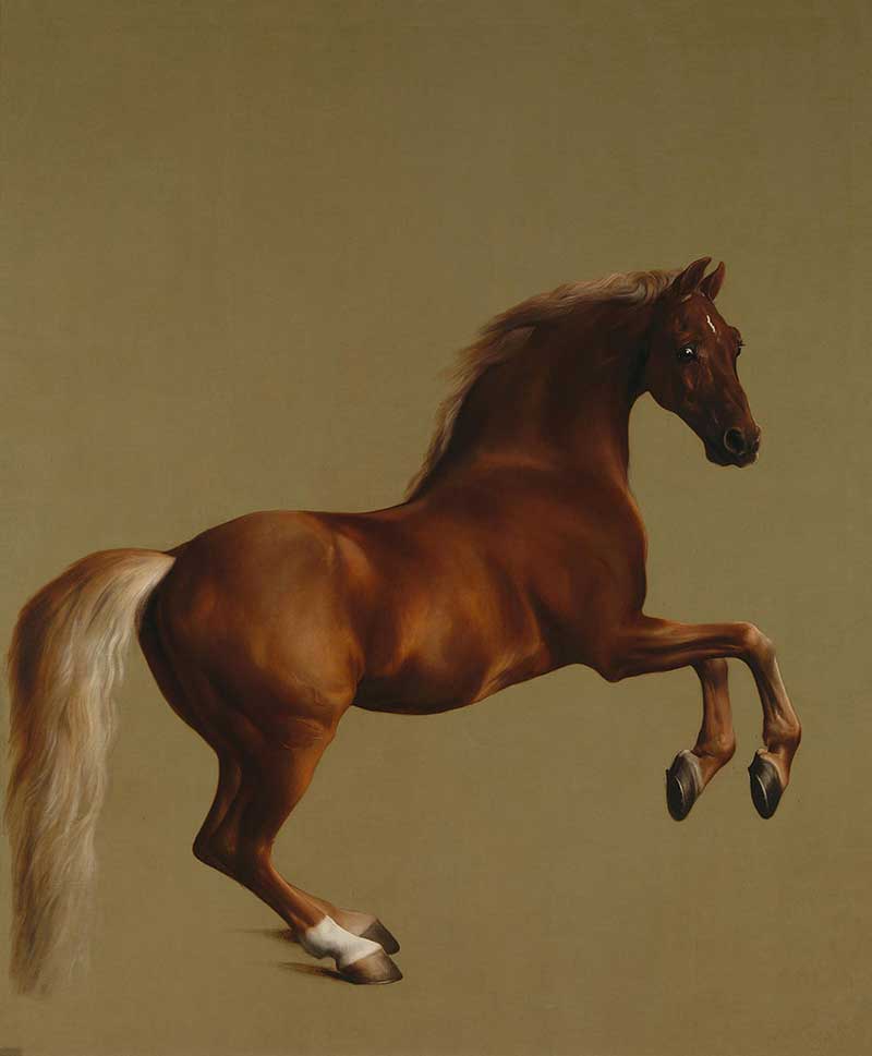 George Stubbs, Whistlejacket, 1762 (photo credit © George Stubbs /Wiki Commons) George Stubbs, Whistlejacket, 1762 (photo credit © George Stubbs /Wiki Commons)