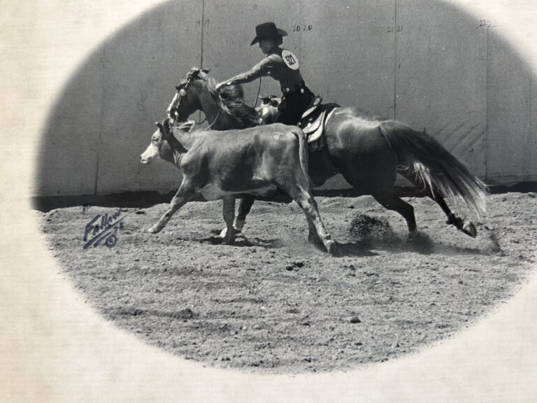 Photo courtesy of AQHA