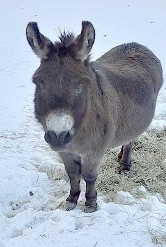 Photo courtesy of EIE Editorial