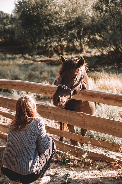 Image by Ruslan Sikunov from Pixabay