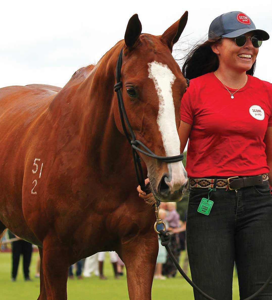 Facundo PIeres’s 10-year-old Twitter will be making her debut in the U.S. Bred by Jim Gilmore in England, she is out of Twiggy by Livingston. She won numerous Best Playing Pony honors, including in the Queen’s and Coronation Cups. Facundo PIeres’s 10-year-old Twitter will be making her debut in the U.S. Bred by Jim Gilmore in England, she is out of Twiggy by Livingston. She won numerous Best Playing Pony honors, including in the Queen’s and Coronation Cups.