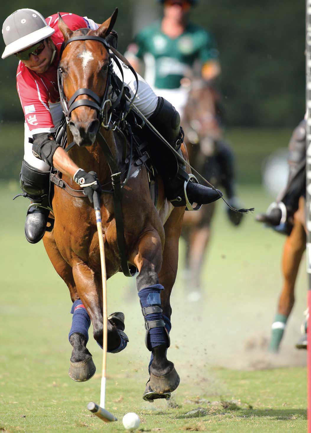 Carpacho - Valiente’s Peke Gonzalez will be playing Carpacho in the Gauntlet. Gonzalez was injured last year so Poroto Cambiaso played the horse. The 10-year-old Carpacho gets better and better each year. Carpacho - Valiente’s Peke Gonzalez will be playing Carpacho in the Gauntlet. Gonzalez was injured last year so Poroto Cambiaso played the horse. The 10-year-old Carpacho gets better and better each year.