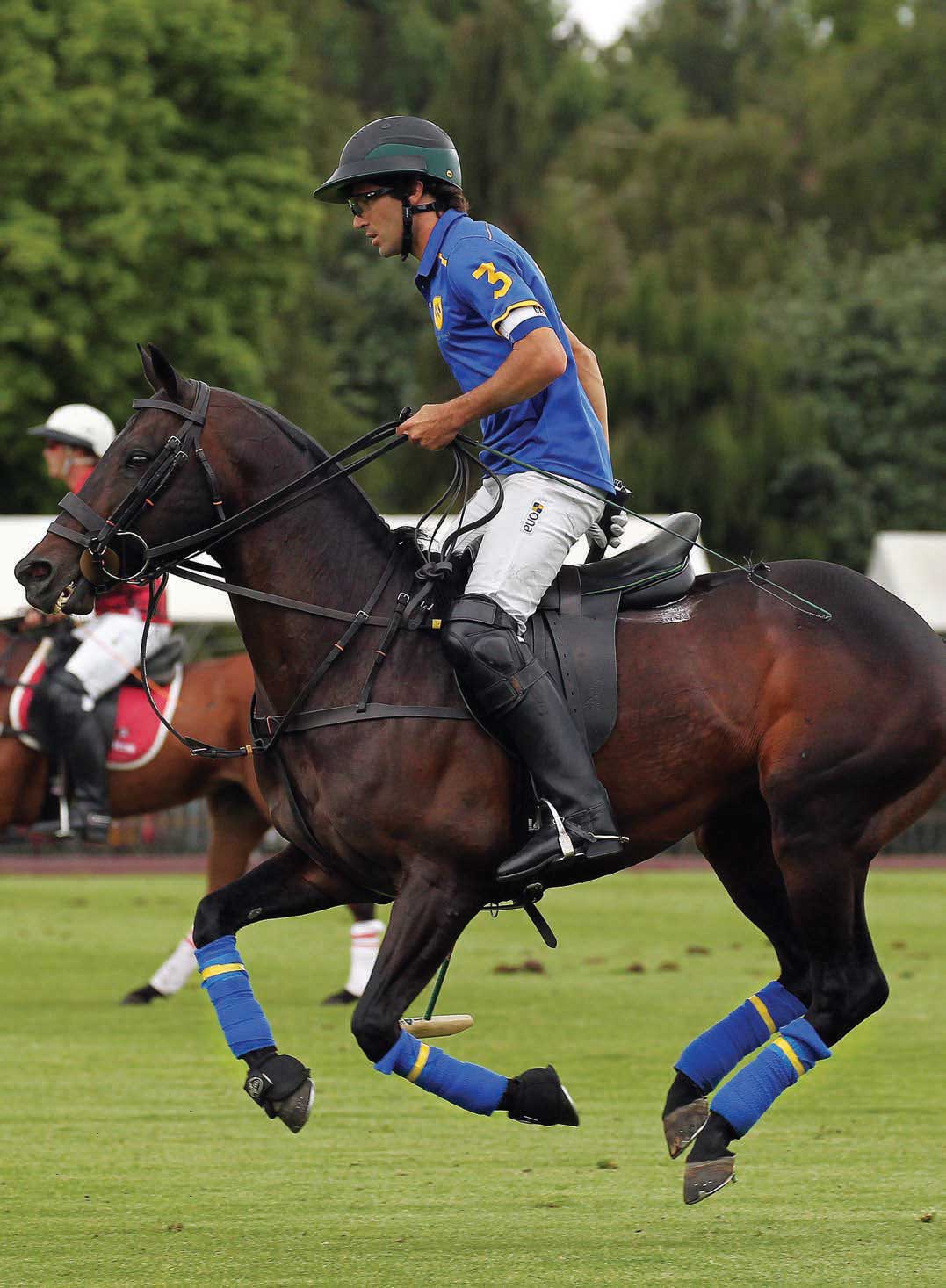Machitos Mesquite - Hilario Ulloa’s sleek Machitos Mesquite will be back playing in the Gauntlet this year. The 14-year-old stallion has played extensively in Argentina, the U.S. and England, winning several Best Playing Pony awards in the U.S. and England. Machitos Mesquite - Hilario Ulloa’s sleek Machitos Mesquite will be back playing in the Gauntlet this year. The 14-year-old stallion has played extensively in Argentina, the U.S. and England, winning several Best Playing Pony awards in the U.S. and England.