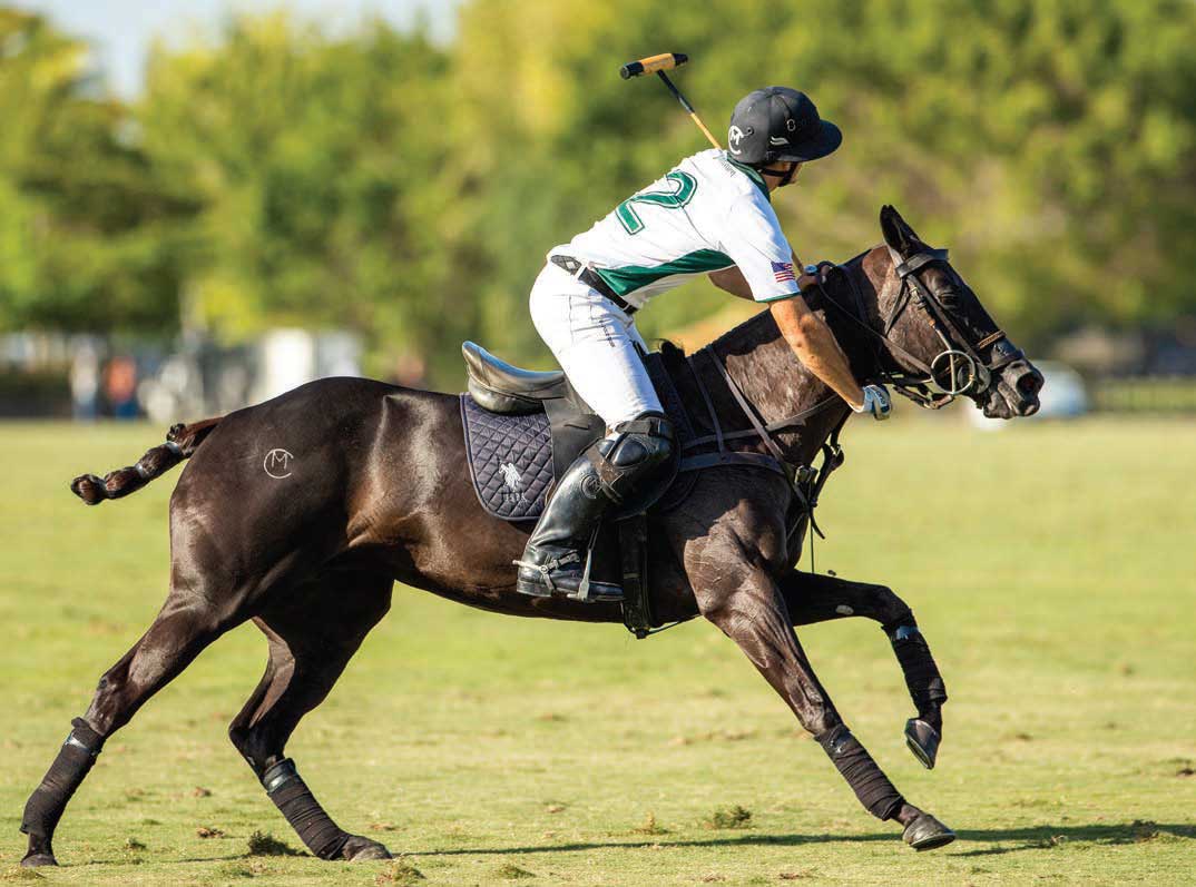 Adele - A favorite of Matt Coppola is his 10-yearold Adele (Riverdance x Riojana). Coppola has been on her when making crucial plays. She was Best Playing Pony in the 2022 16-goal Outback Invitational final. Adele - A favorite of Matt Coppola is his 10-yearold Adele (Riverdance x Riojana). Coppola has been on her when making crucial plays. She was Best Playing Pony in the 2022 16-goal Outback Invitational final.