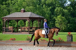The rider with the gazebo in the background is Silva Martin (wife of Olympic rider, Boyd Martin) Their farm, Windurra, is just a mile or so down the road from Horizon Structures.