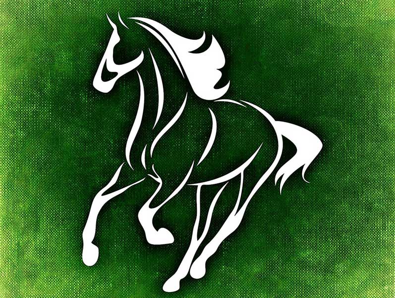 Image by Alexa from Pixabay