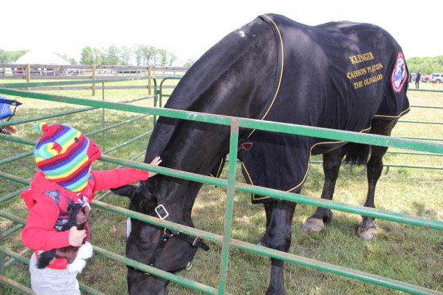 A young fan shows off her Klinger action figure to the TAPS mascot at the Potomac Hunt Races on May 15, 2016, courtesy of TAPS A young fan shows off her Klinger action figure to the TAPS mascot at the Potomac Hunt Races on May 15, 2016, courtesy of TAPS
