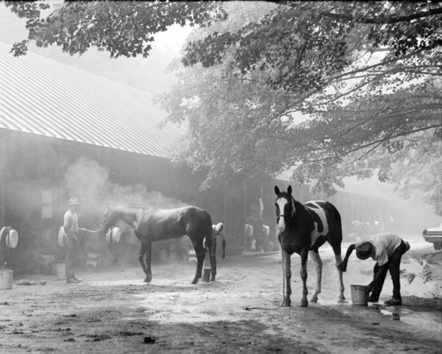 Tony Leonard - Morning Bath at Saratoga August 1968 Tony Leonard - Morning Bath at Saratoga August 1968