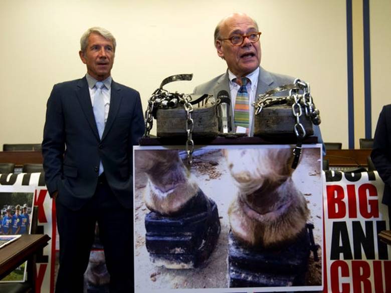 Rep. Steve Cohen, D-Tenn., accompanied by Rep. Kurt Schrader, D-OR, speaks during a news conference, ahead of a House vote on a bill that would prevent Soring in training Tennessee Walking Horses on Capitol Hill in Washington, Wednesday, July 24, 2019 (AP/Photo Jose Luis Magana) Rep. Steve Cohen, D-Tenn., accompanied by Rep. Kurt Schrader, D-OR, speaks during a news conference, ahead of a House vote on a bill that would prevent Soring in training Tennessee Walking Horses on Capitol Hill in Washington, Wednesday, July 24, 2019 (AP/Photo Jose Luis Magana)