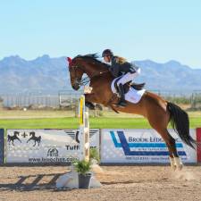 How the USPC Festival Pairs with BreyerFest and Pony Finals