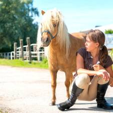 Difficult Horses. Difficult Boarders