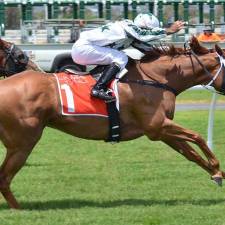 The Similarities Between Horse Racing and Online Gambling