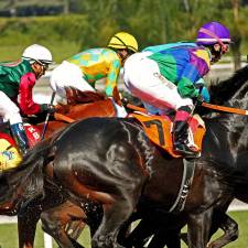 Gambling Regulation and Integrity in Horse Racing