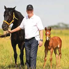 Made for Speed - Genetically Edited Polo Ponies Draw Objections