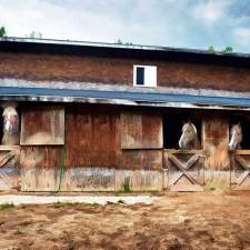 How To Manage Horse Barn Needs After Catastrophe Strikes