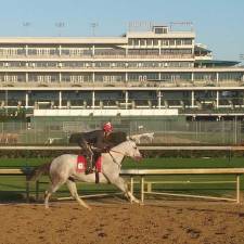 2026 Kentucky Derby Field is Officially Set: Who are the Early Favorites?