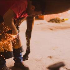 Five Careers in the Equine Industry