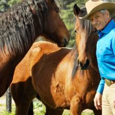 Horse Gentler Monty Roberts Tames a Wild Horse In Front of 30,000 Brazilians