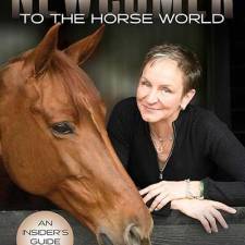 Newcomer to the Horse World: The Insider's Guide for the Amateur Equestrian 