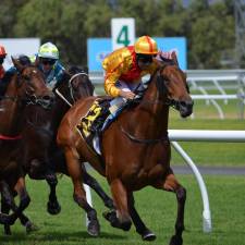 Saddle Up: 4 Essential Tips for Betting on Horse Races