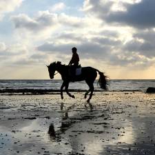 Horseback Riding Vacations in South Africa